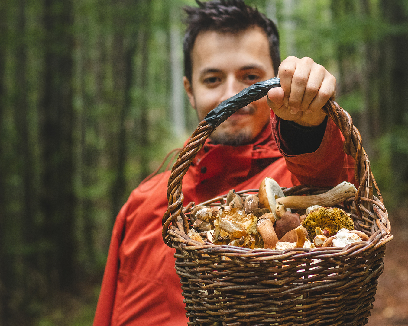 Raccolta funghi: consigli per rispettare il bosco e preservare  il tuo posto segreto