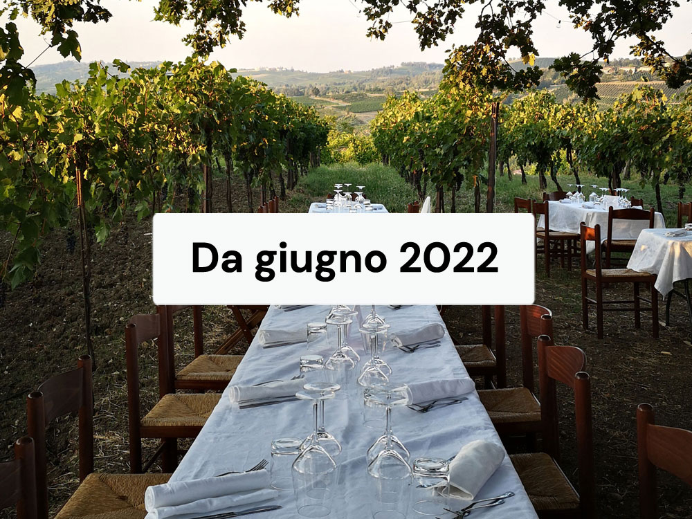 Dinner among vineyard rows in the Oltrepò