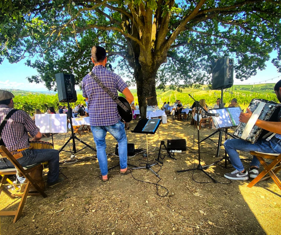 Lunch in the vineyard with live music