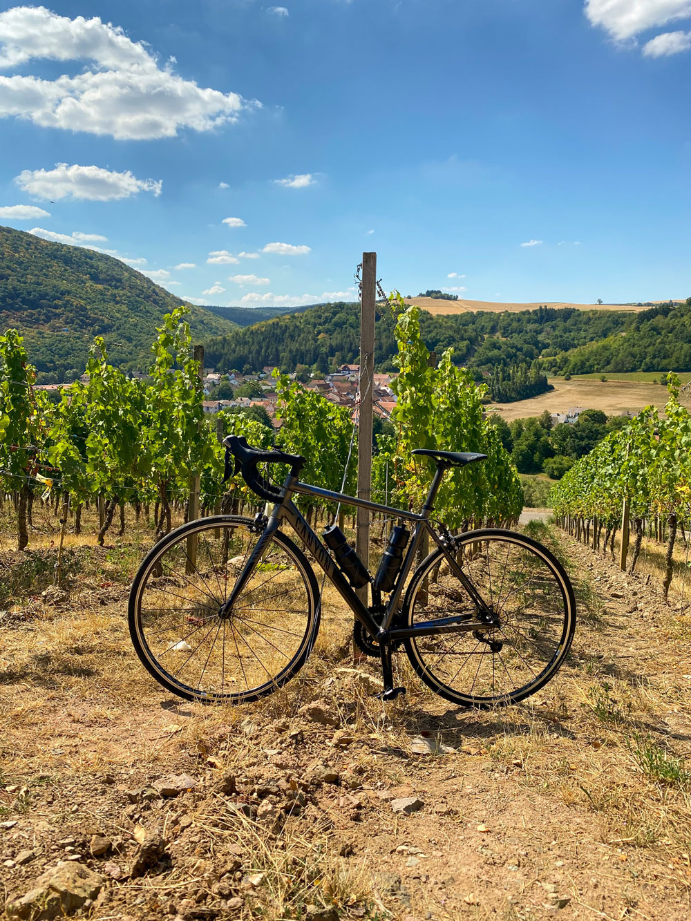 Picnic, Cellar Visit and an E-Bike Excursion through the Vineyards