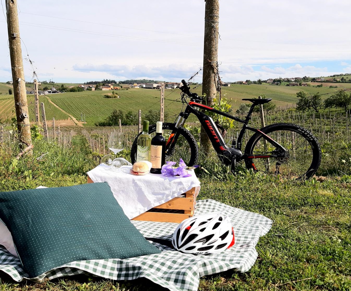 Picnic and e-bike tour in the vineyard, in Val Tidone
