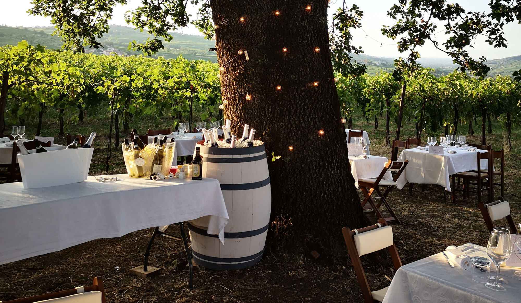 Dinner among vineyard rows in the Oltrepò