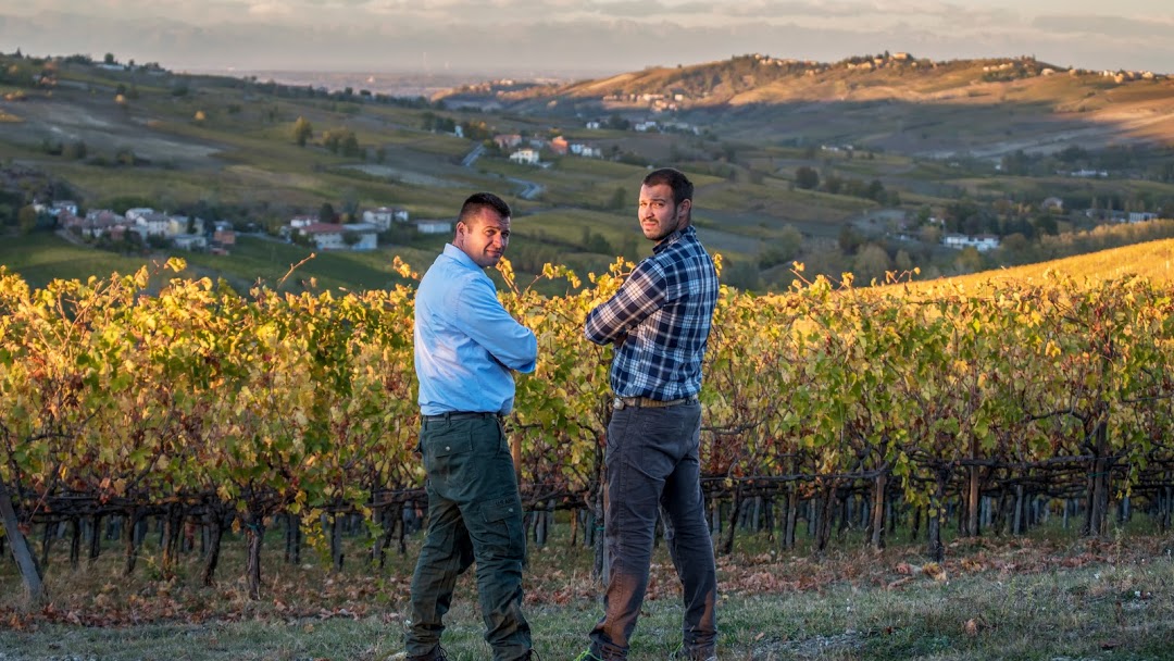 Autumn colors: trekking among the vineyards and brunch
