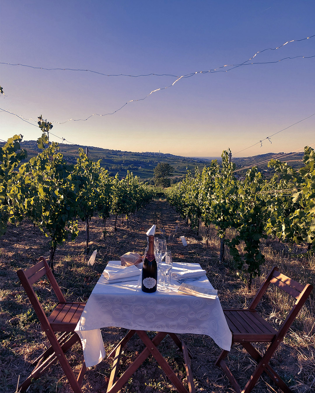Romantic dinner in the vineyard