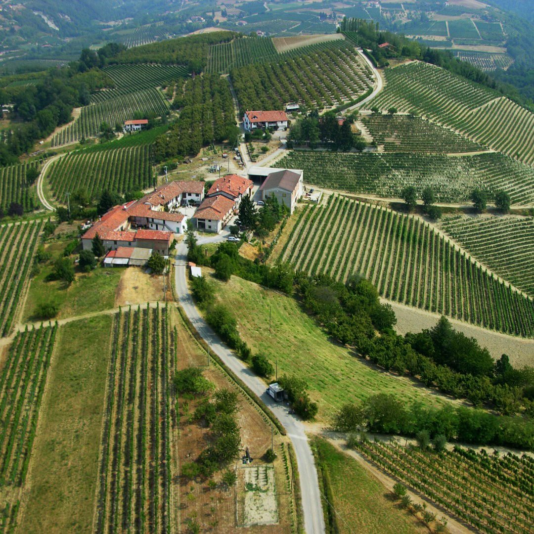 Aperitif in the winery among the Dogliani's hills