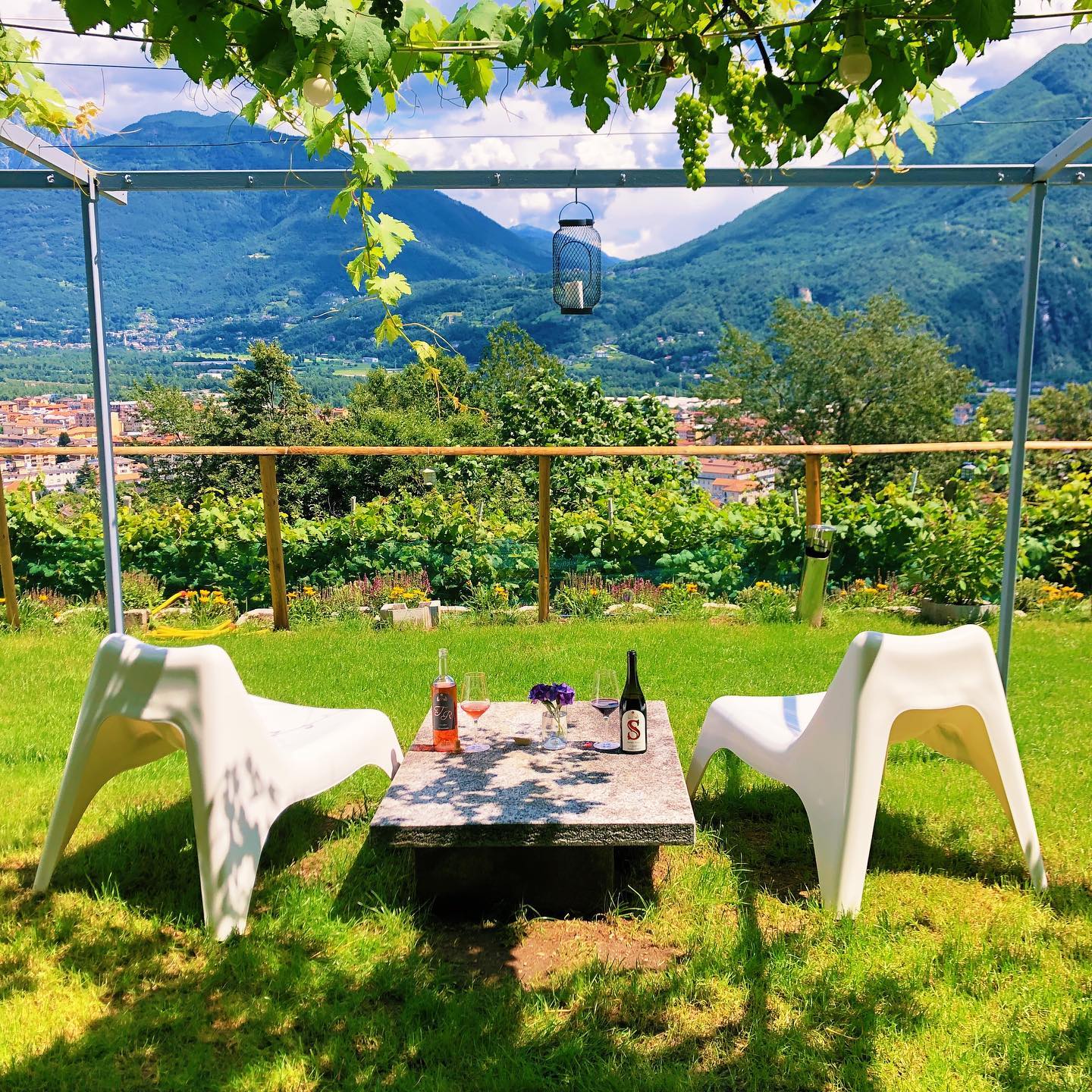 Escape to the vineyard in Valdossola (3 wines)