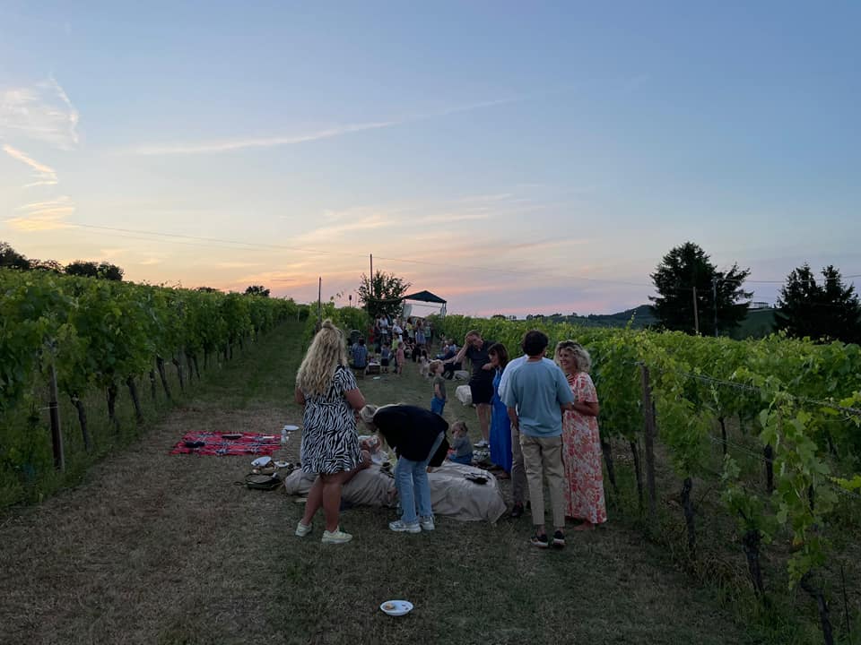 Picnic among the vineyards of Monferrato