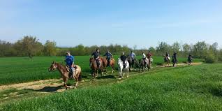 Ranch day in Monferrato with horseback riding