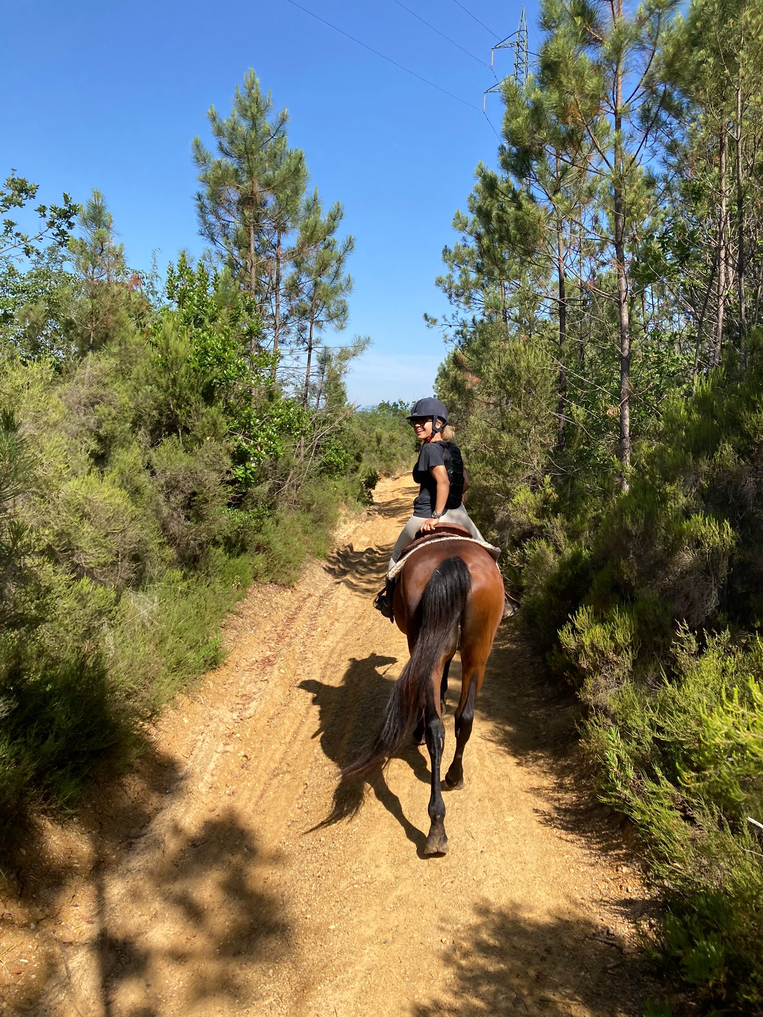 Passeggiata a cavallo nella foresta