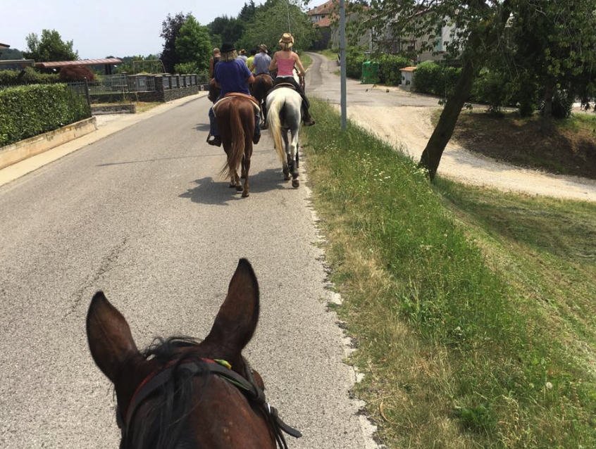 chioggia cavallo