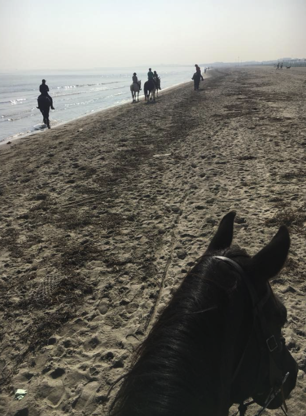 passeggiate cavallo venezia