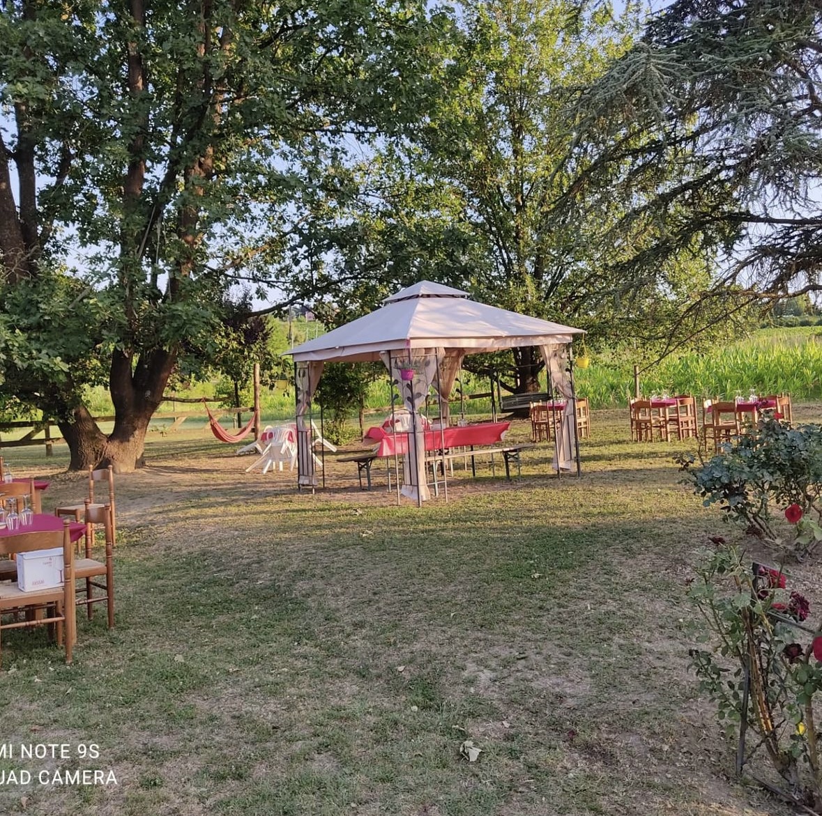 pranzo tra le vigne