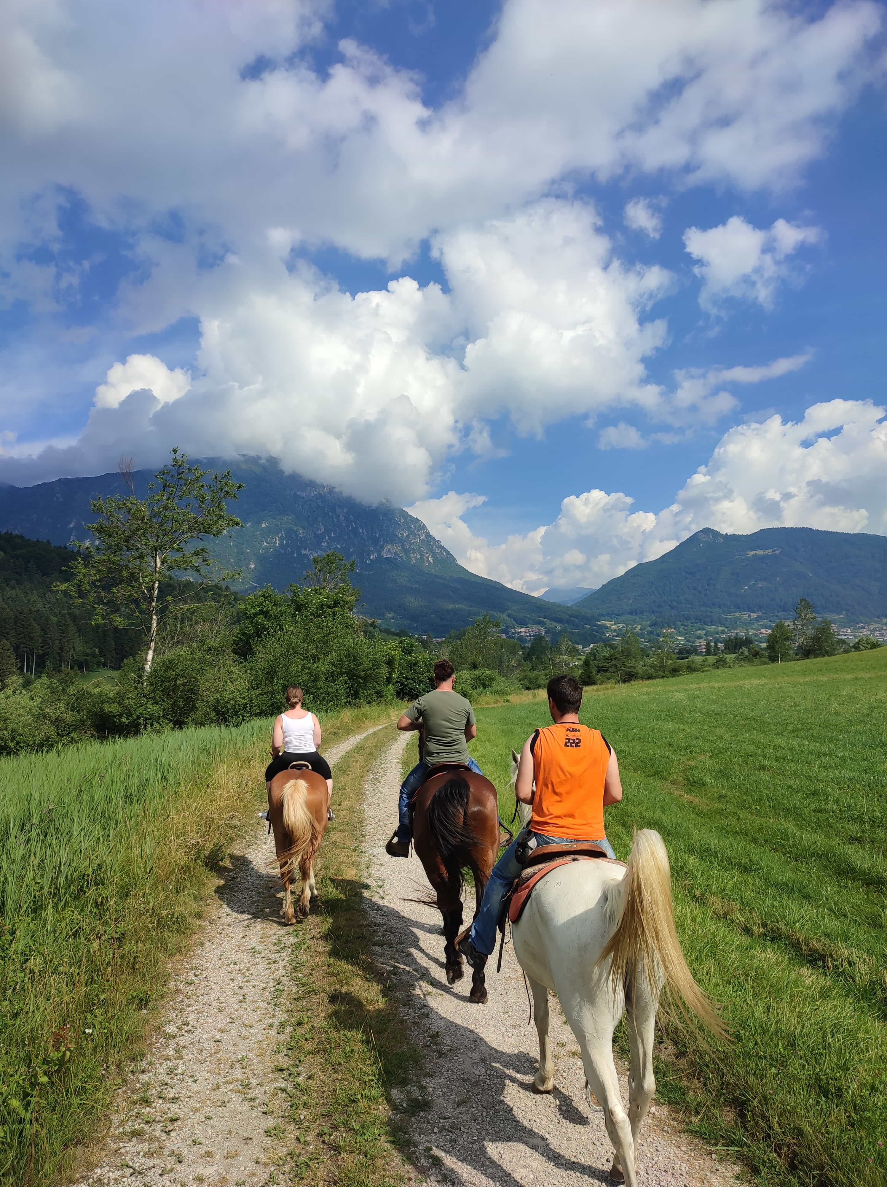 cavallo passeggiata