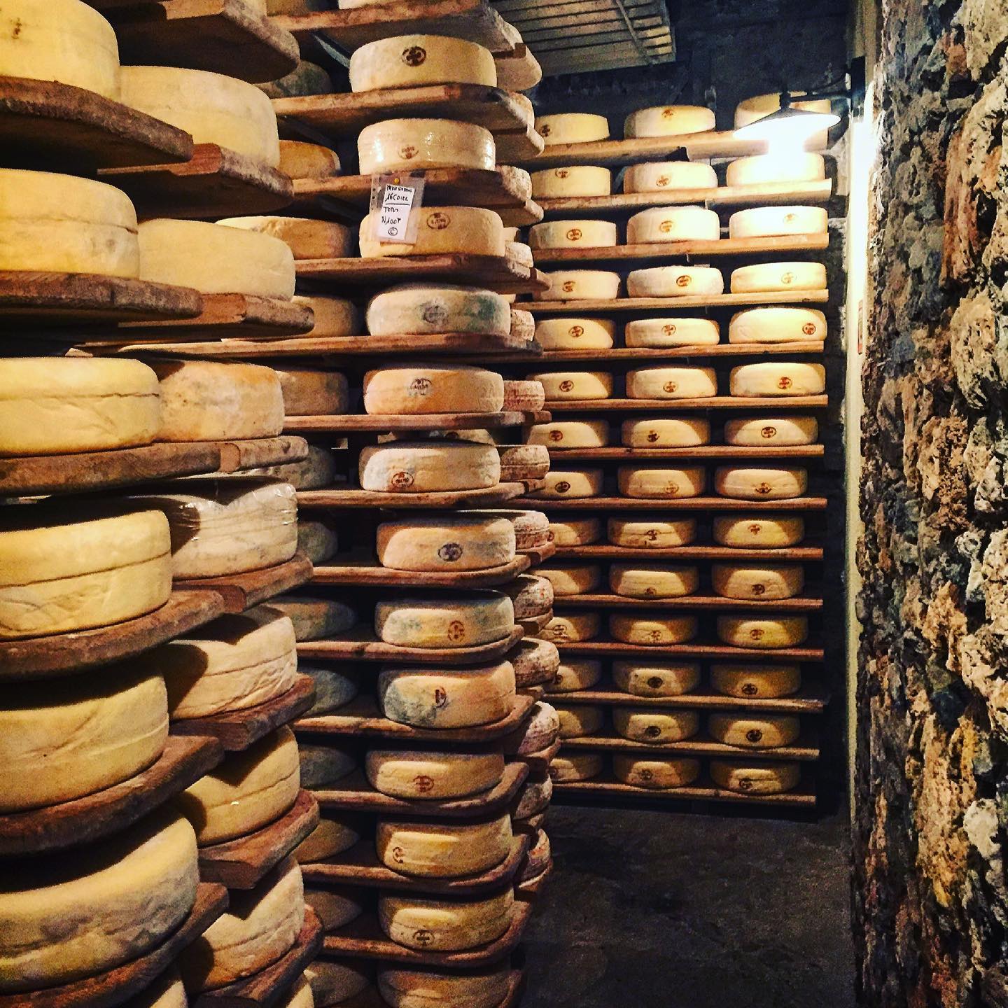 Discovering Castelmagno and the mountain cheeses of the Cuneo area