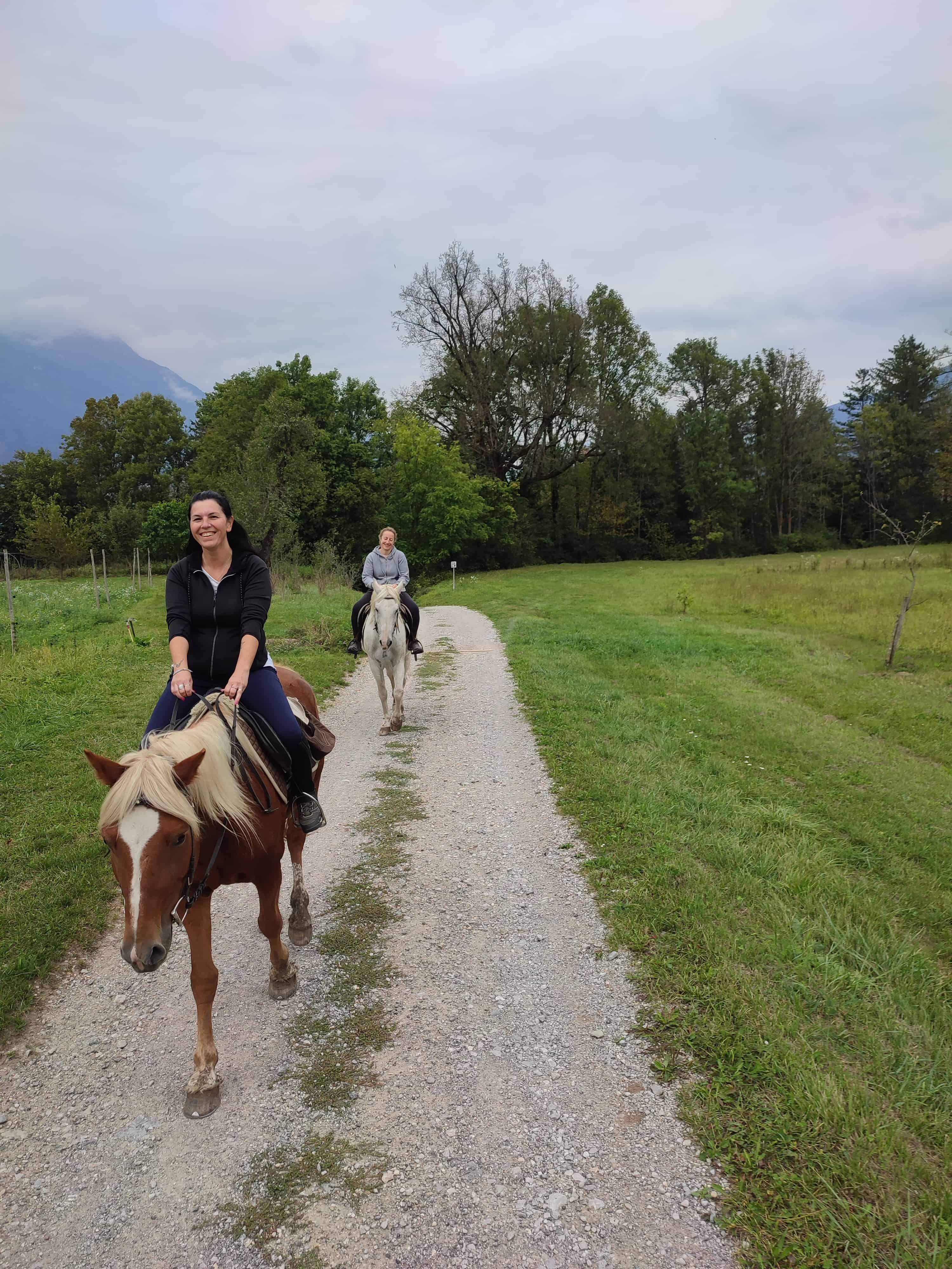 cavallo trento