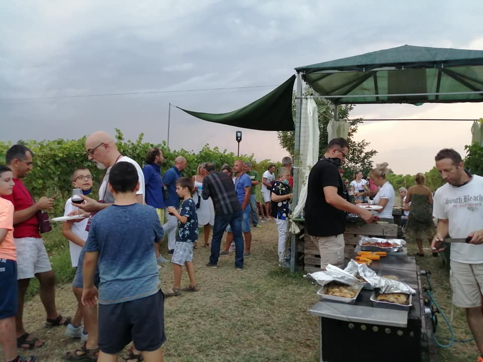 barbecue tra le vigne