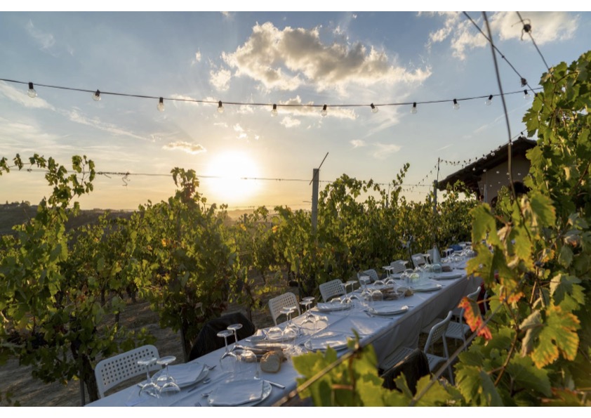 Cena in vigna nel Roero: la Luna e il Ciabot