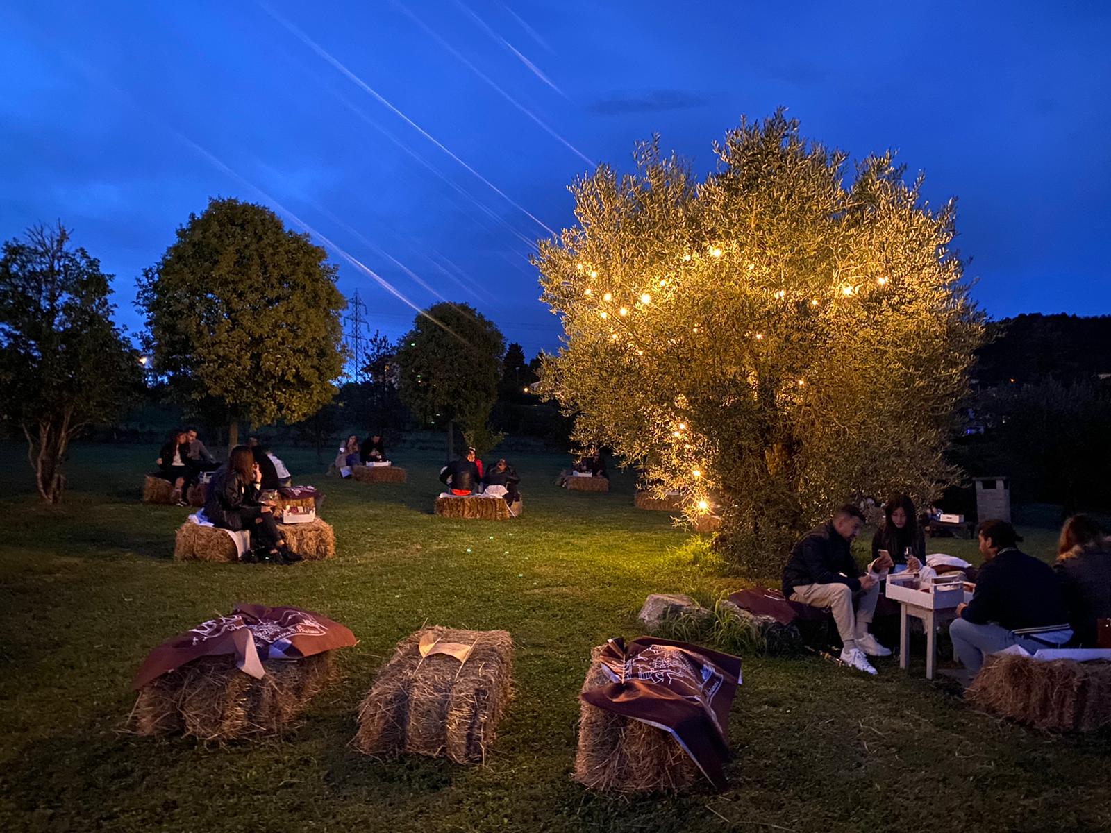 Picnic under the stars