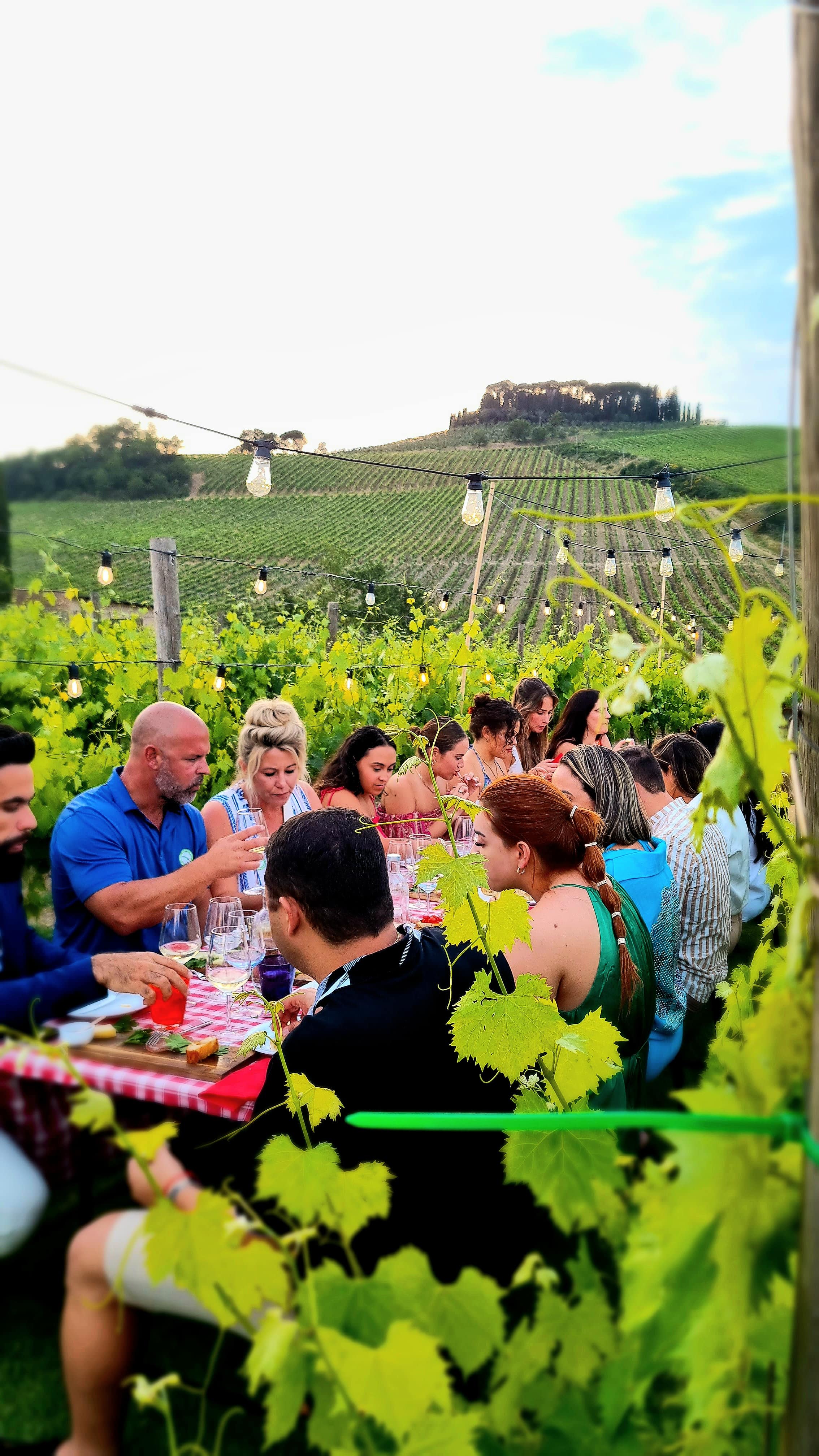 chianti cena tra i filari