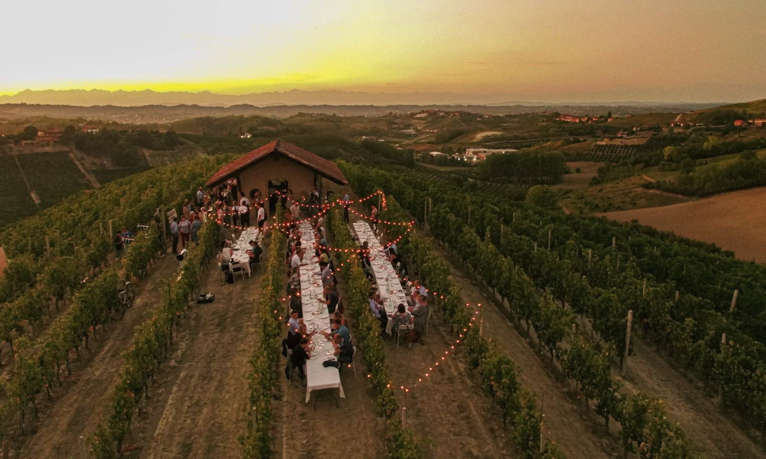 cena tra i filari langhe