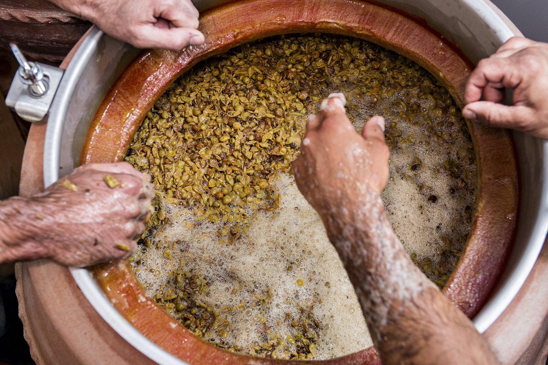 vino nel coccio