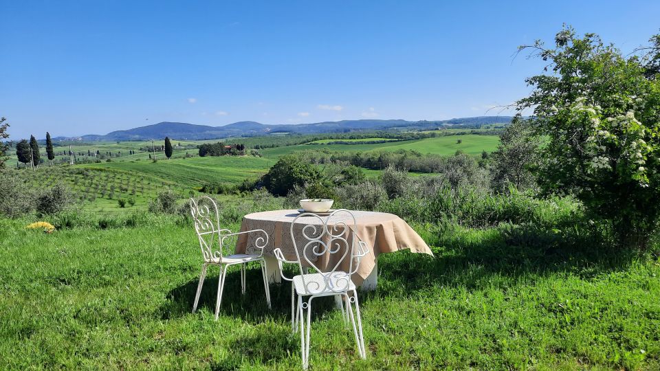 Degustazione olio extravergine d'oliva sulle colline senesi