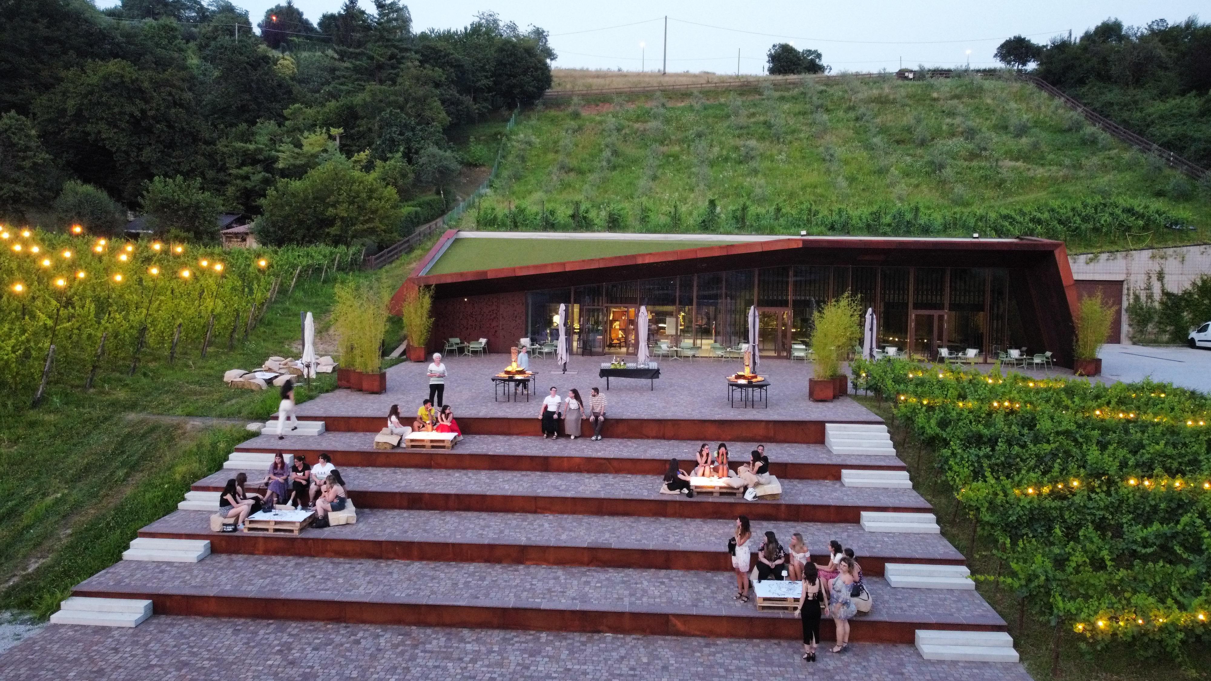 Dinner with a view of the vineyards of Scanzo