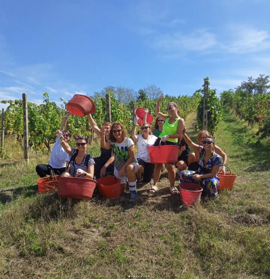 Vendemmia turistica con merenda sinoira