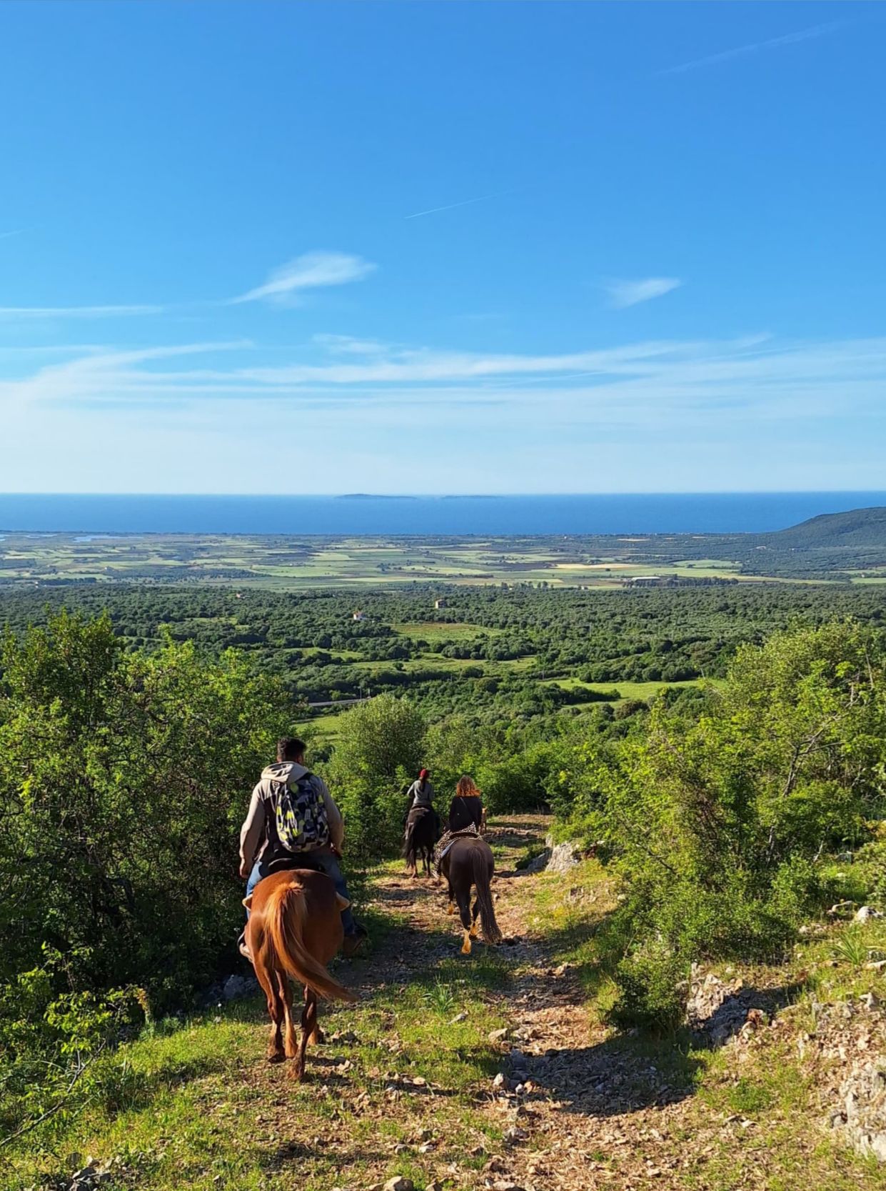 Passeggiata a cavallo nel Parco Nazionale del Gargano