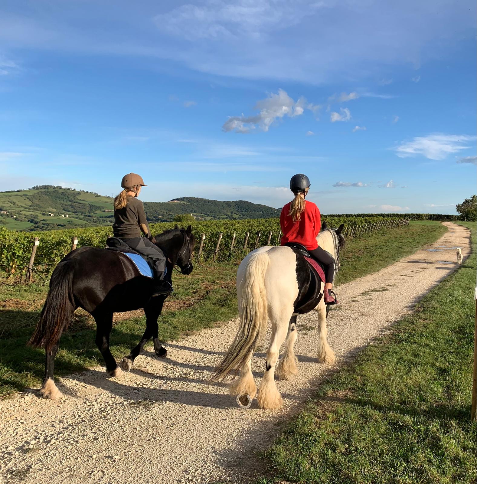 Passeggiata a cavallo sulle colline in provincia di Verona