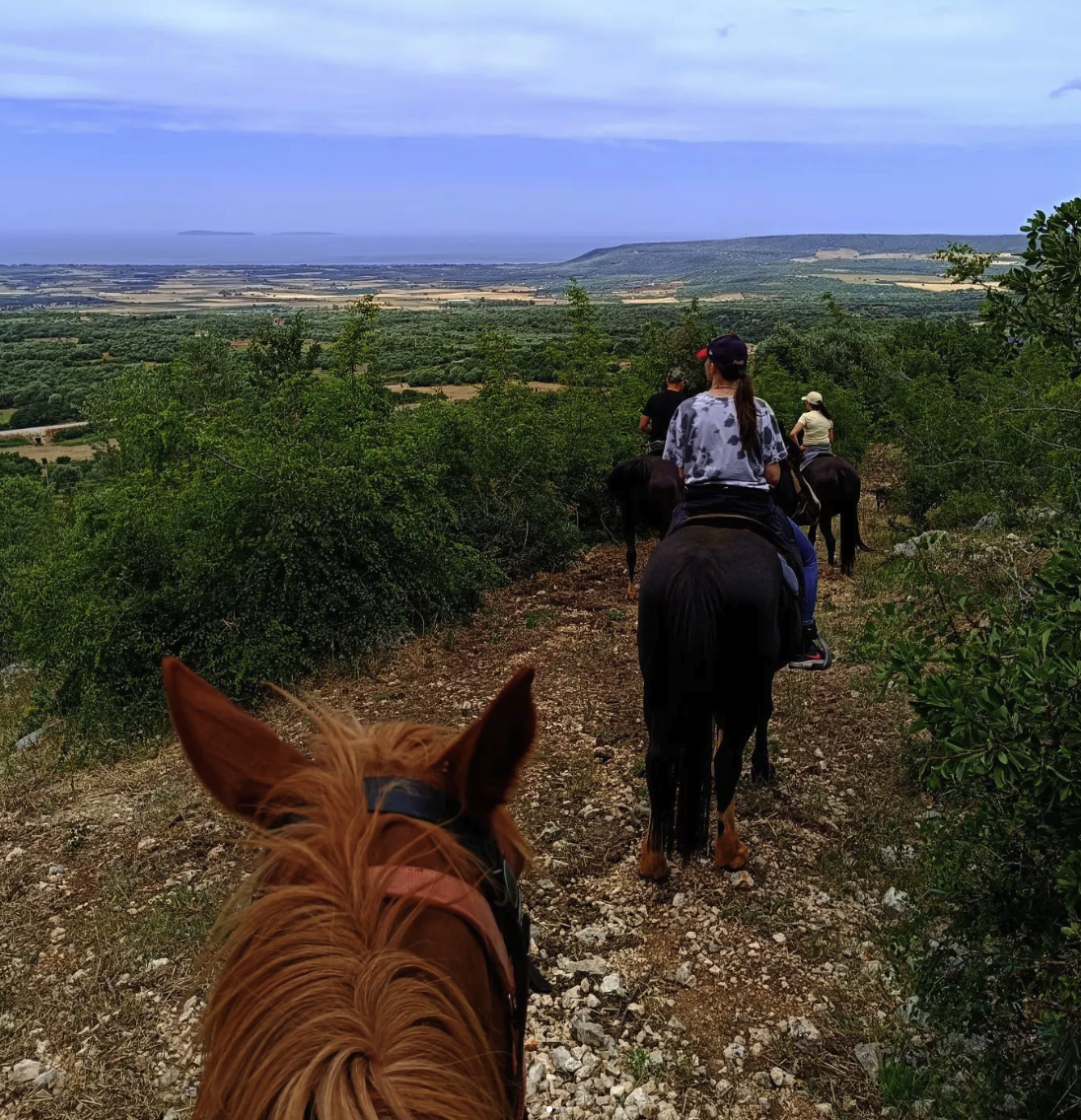 a cavallo nel gargano