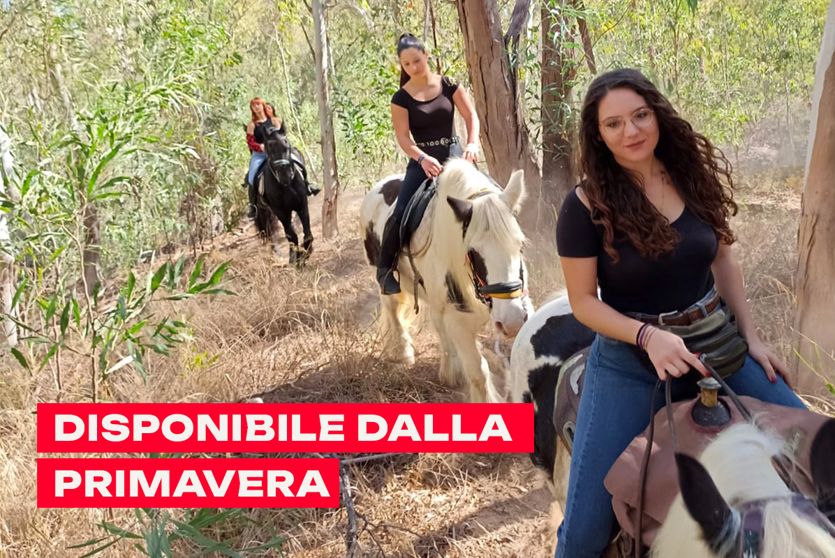 Passeggiata a cavallo nella riserva di Santa Maria del Focallo