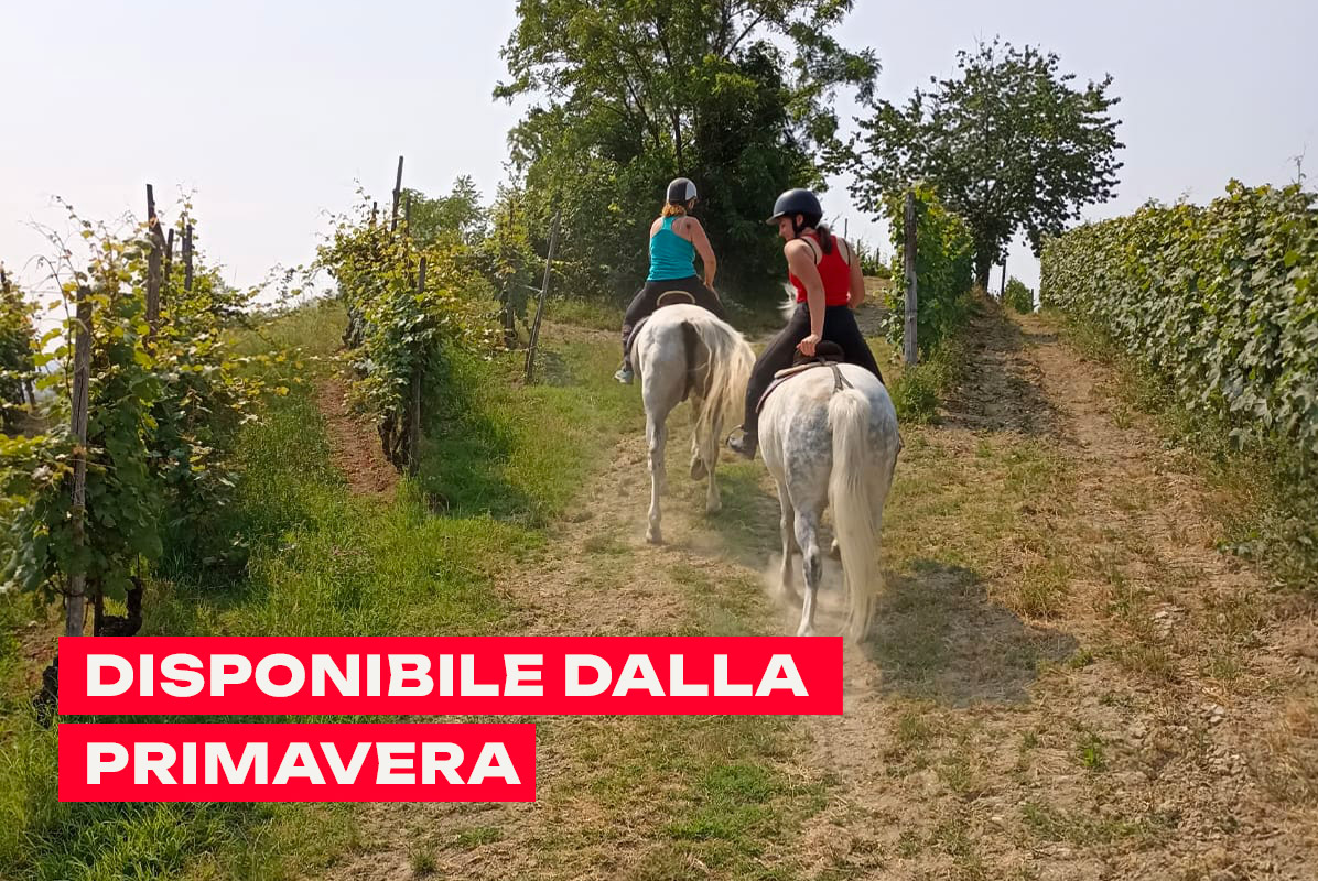 Passeggiata a cavallo nelle Langhe Doglianesi con picnic