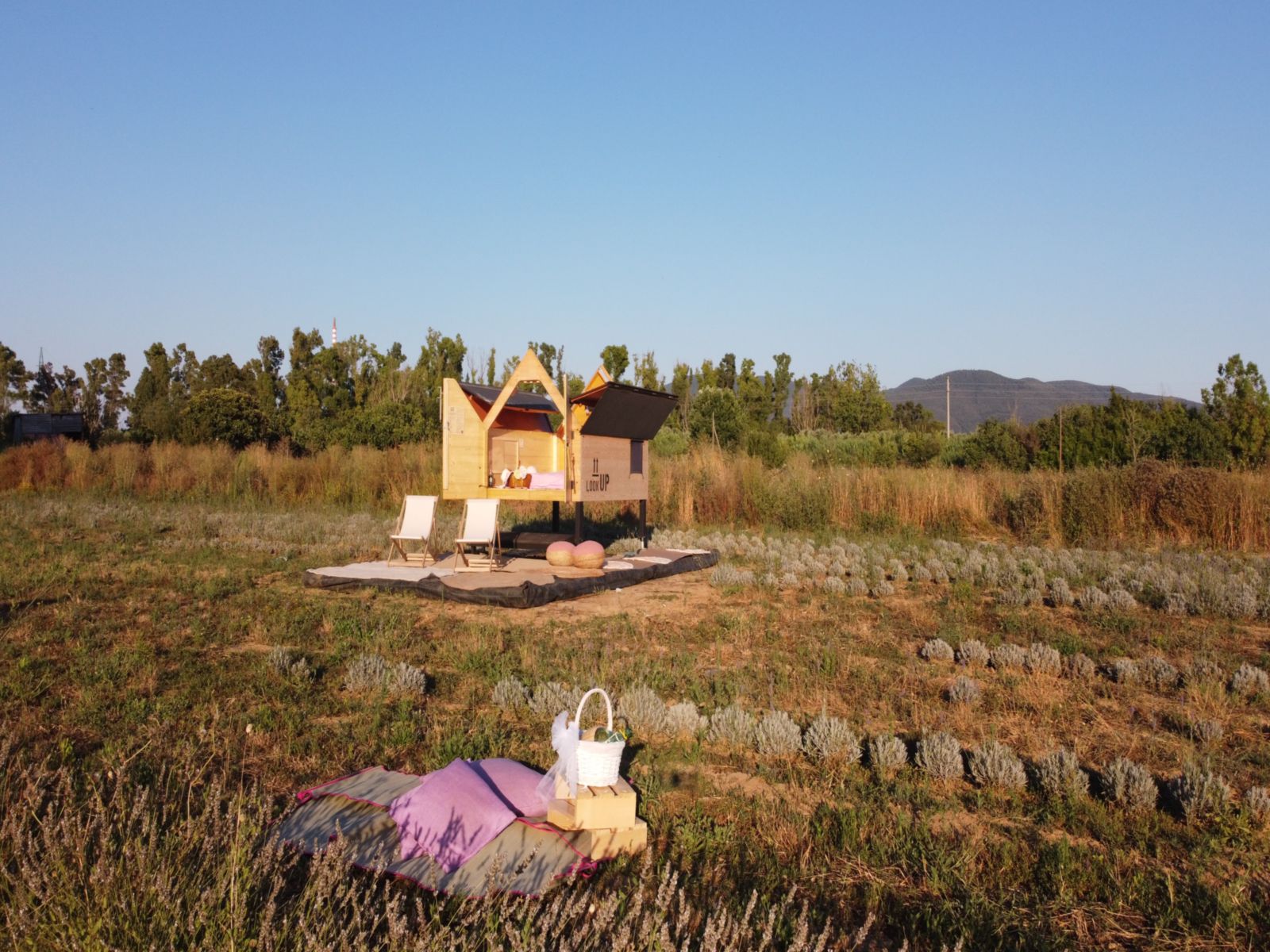 Aperigin tra i Filari di Lavanda