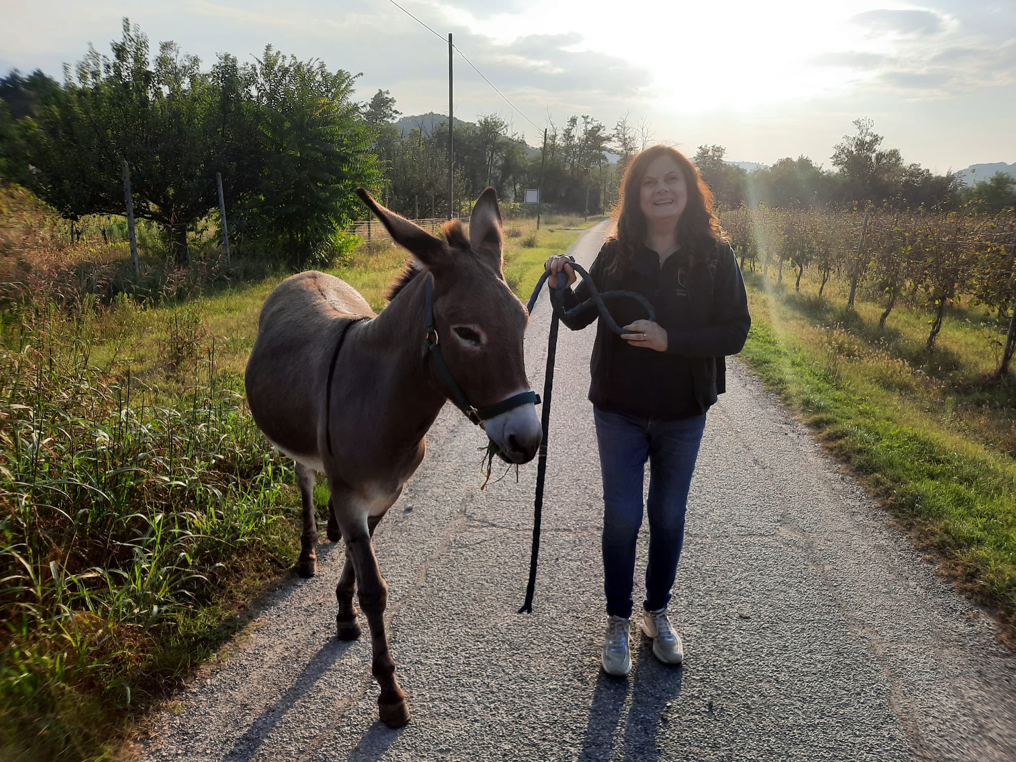 Trekking con gli asinelli e degustazione in cantina