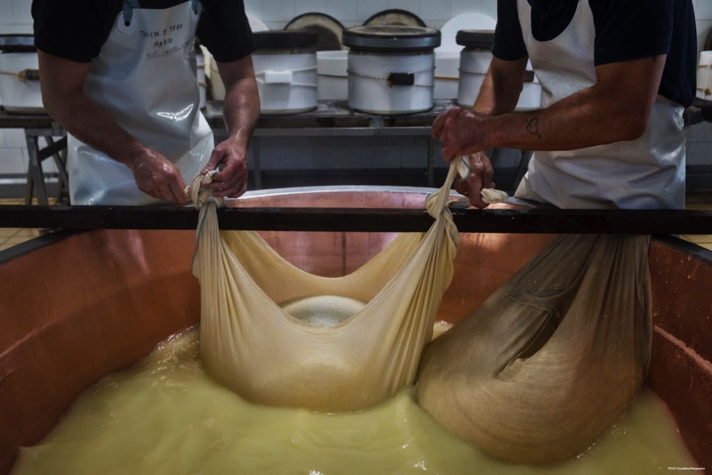 Il Parmigiano Reggiano: visita guidata in caseificio con degustazione