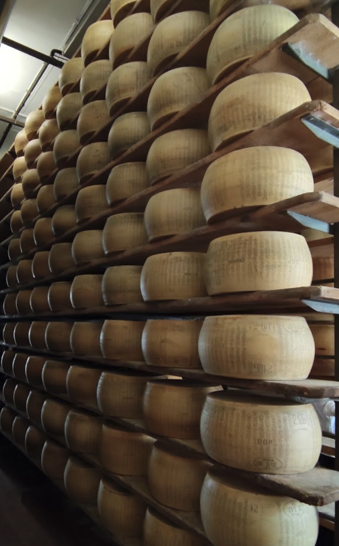 parmigiano reggiano soragna