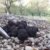 Caccia al Tartufo e Aperitivo al Tramonto nella Valle Santa Reatina