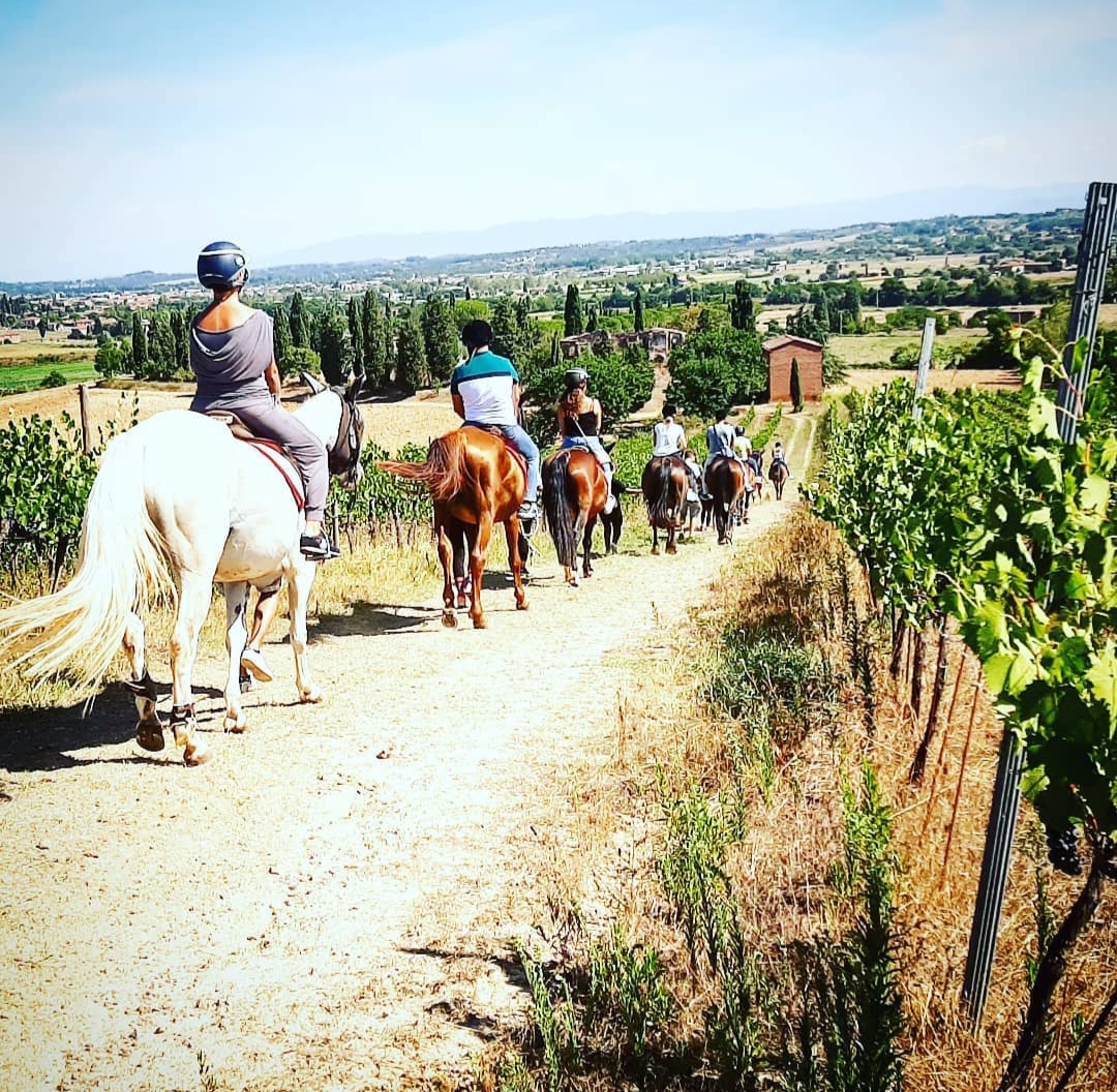 Horseback riding excursion in Valdichiana with Tuscan aperitif