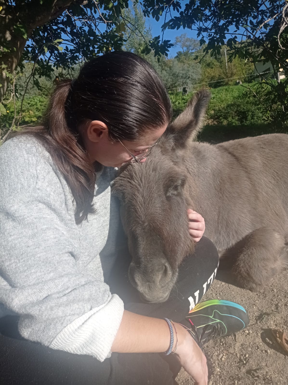 Una giornata in fattoria: Animali, Orto e Passeggiata tra gli Ulivi