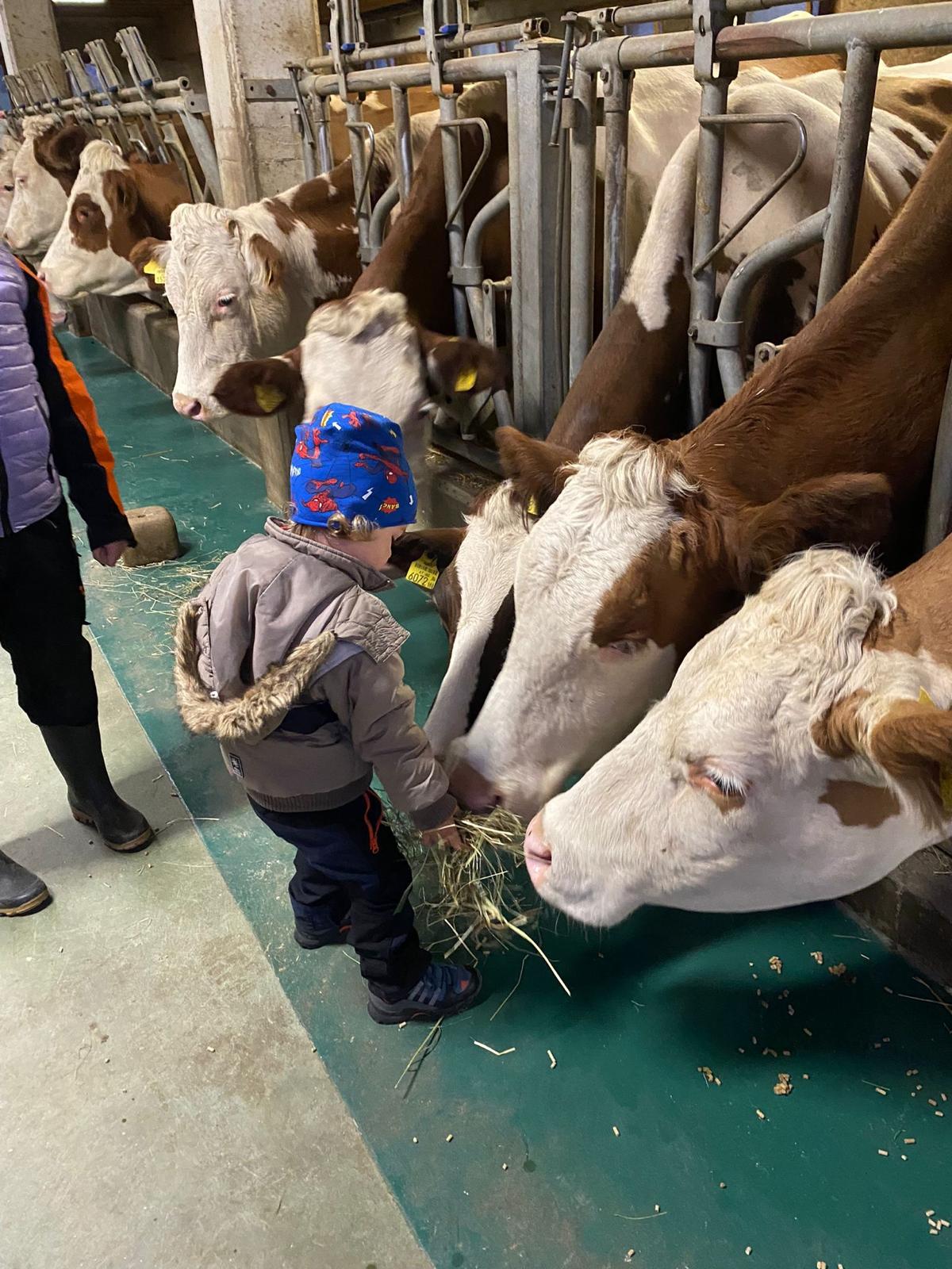 Merenda in fattoria: un pomeriggio tra animali e natura per i più piccoli