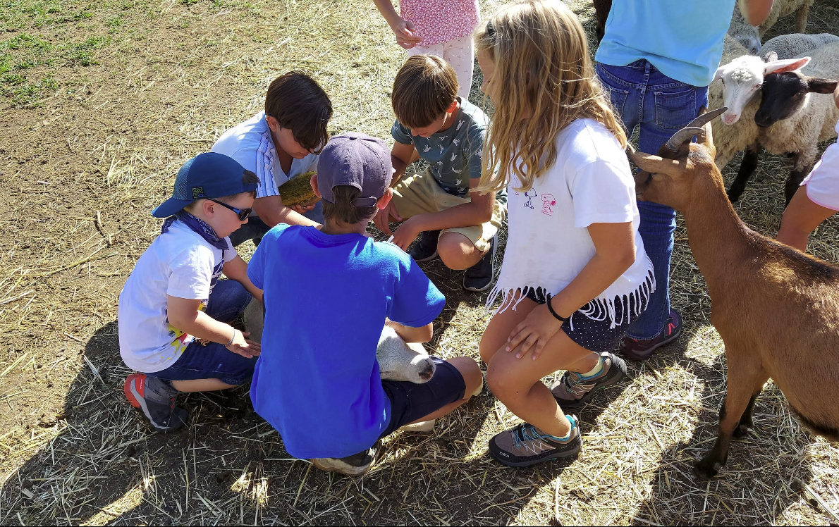 fattoria per bambini