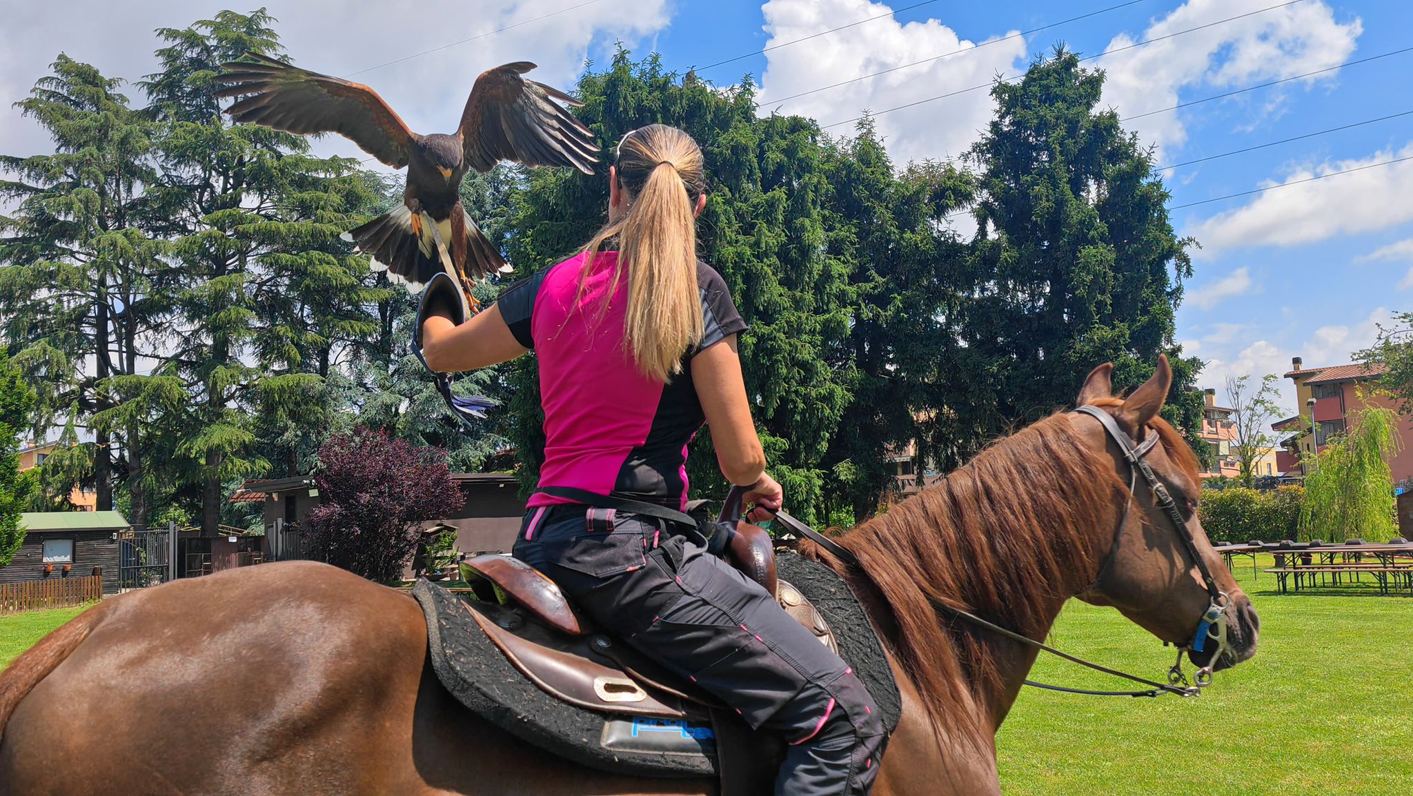 Falconeria a cavallo