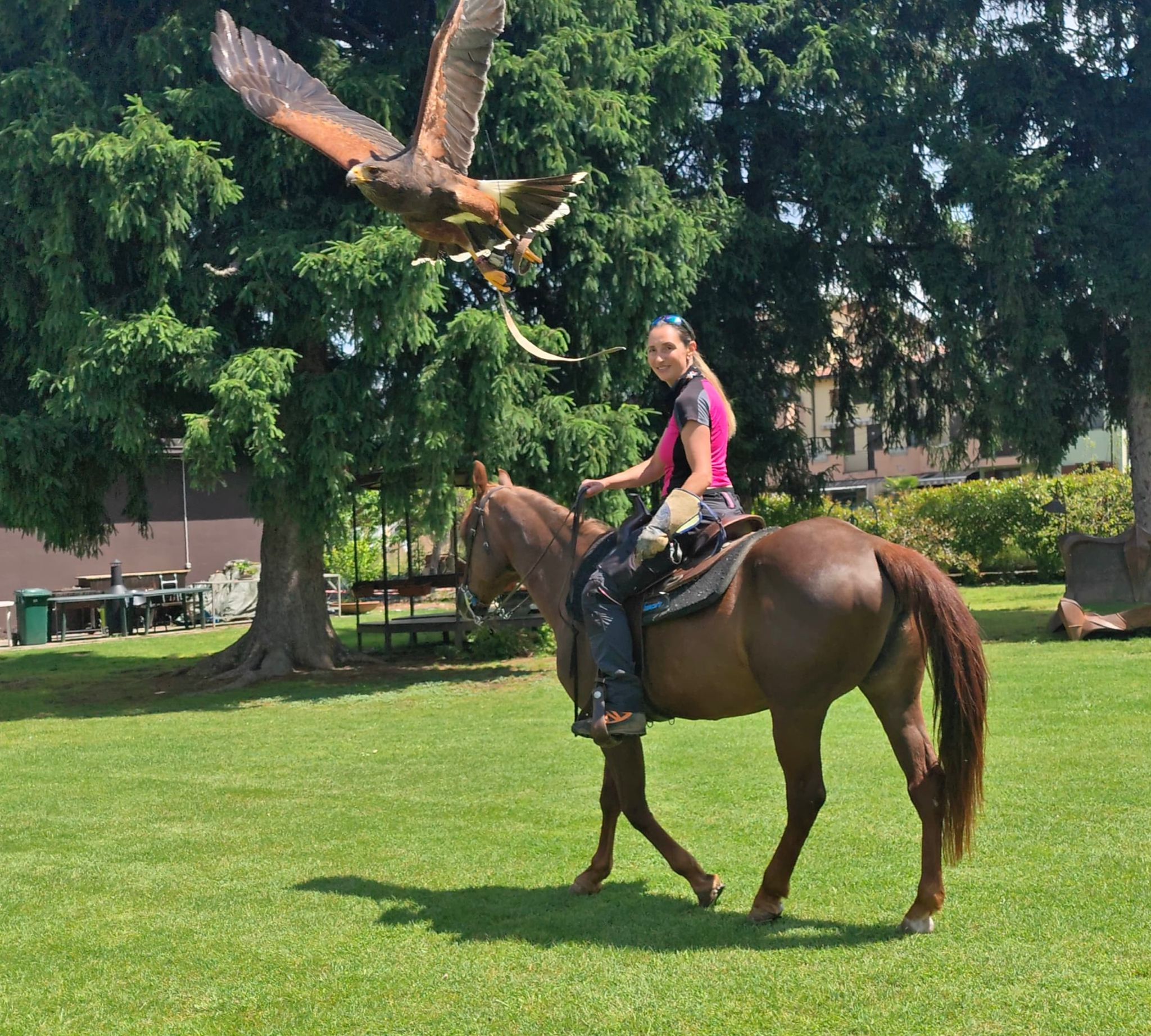 esperienza falconeria