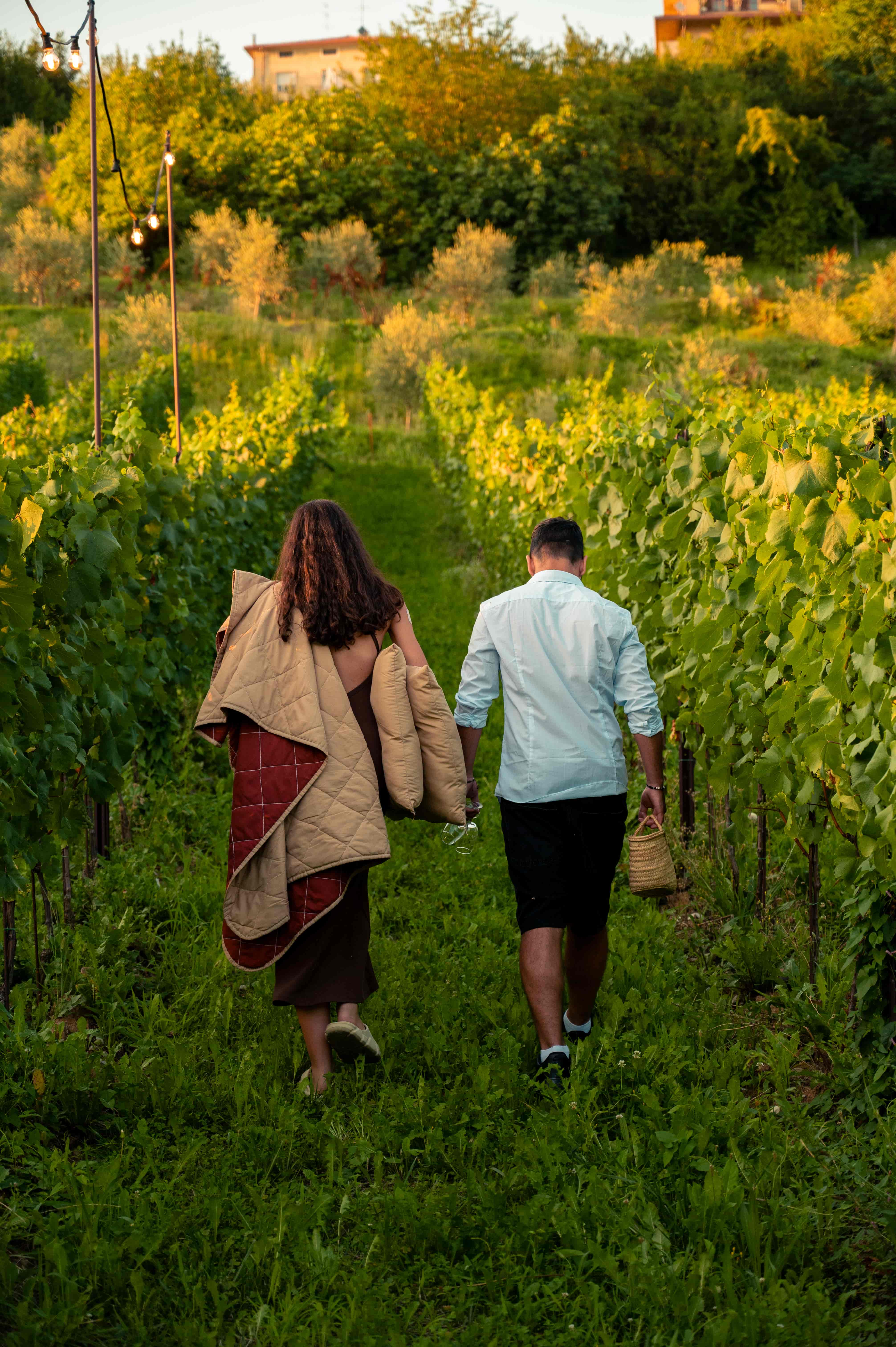picnic tra le vigne moscato