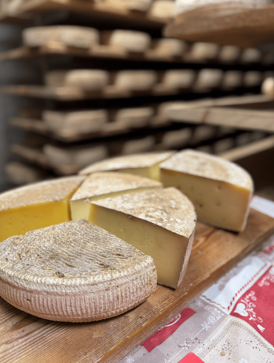 stagionatura valtellina