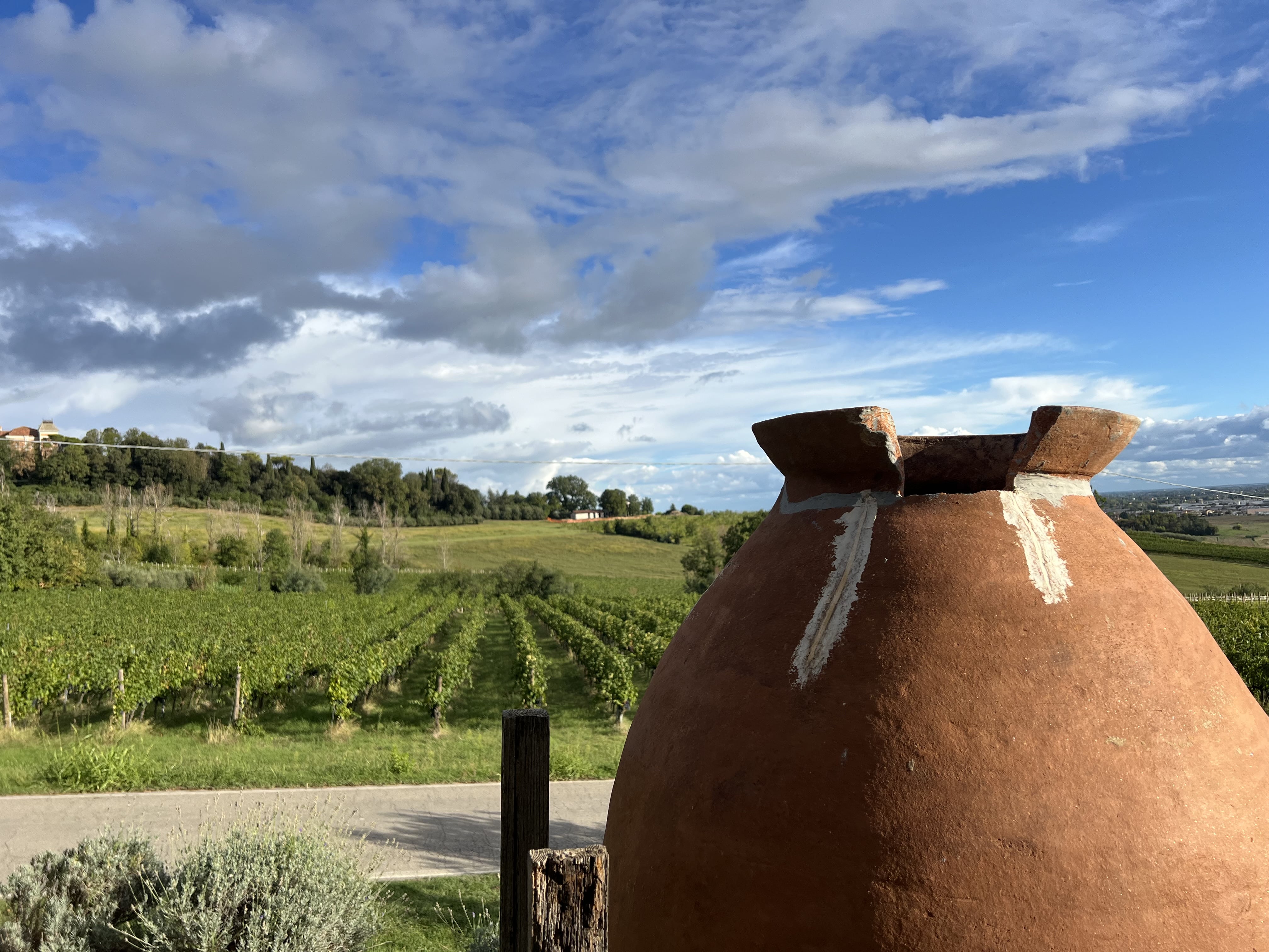 Vino e sapori locali: degustazione in cantina