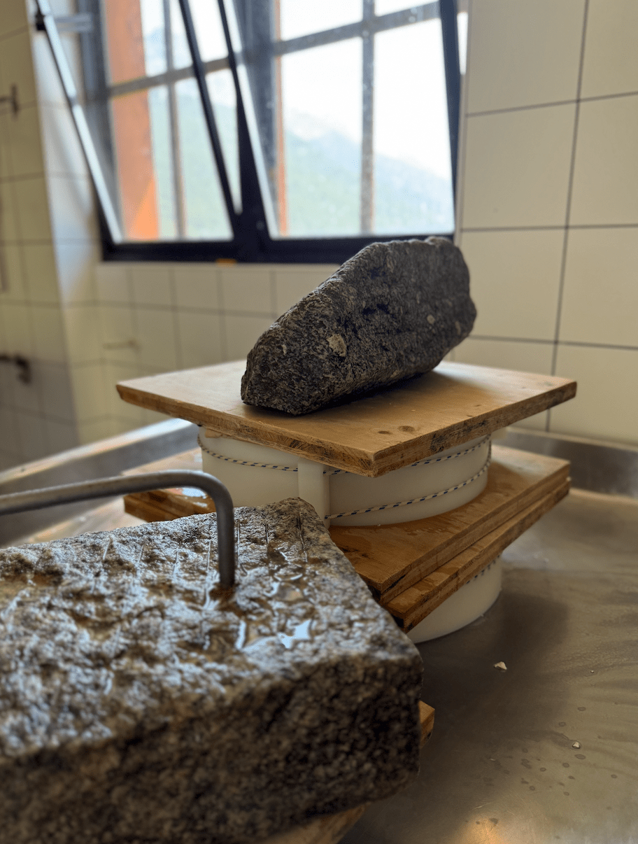 pressa formaggio