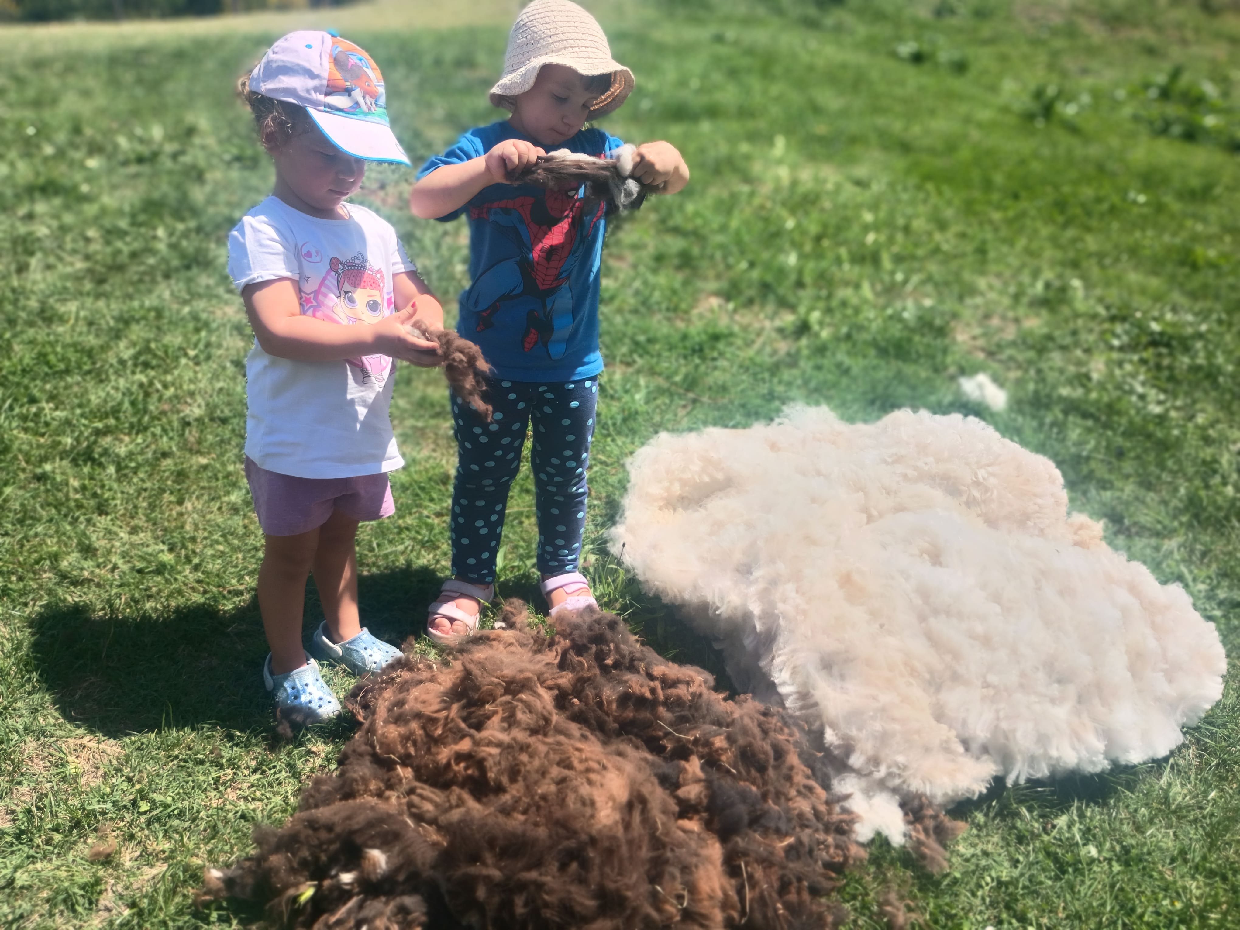 filatura alpaca