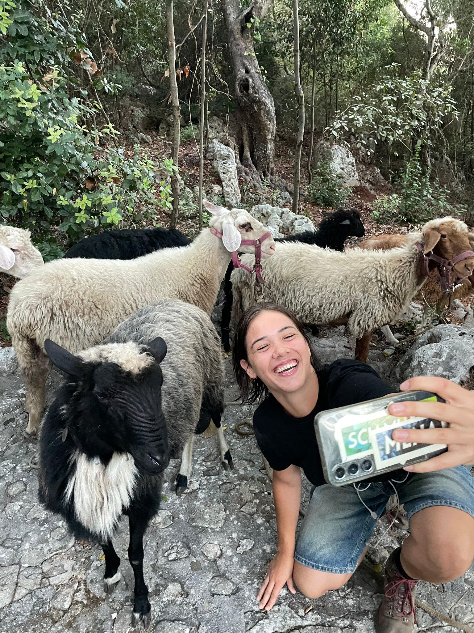 trekking con le pecore